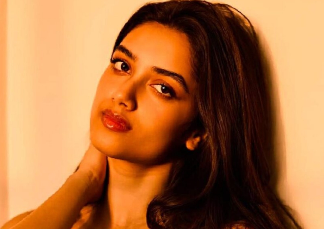 ভাগ্যশ্রী বোর্সে। ছবি : সংগৃহীত 