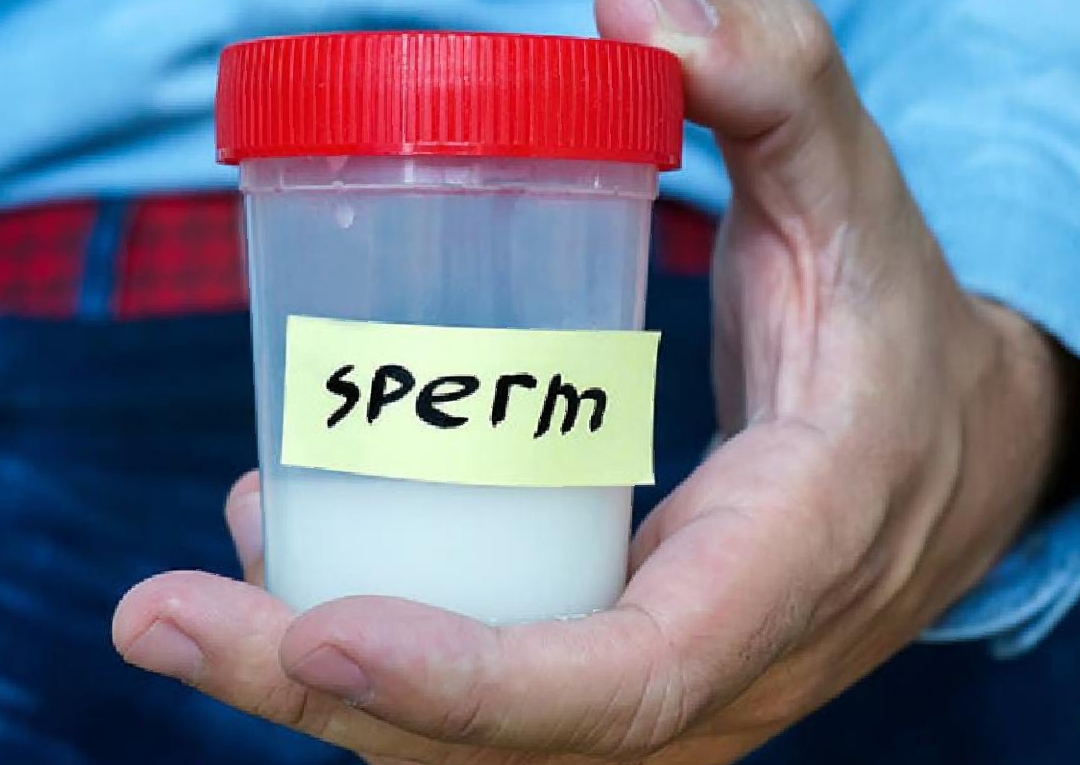 ভারতে শুক্রাণু দান করে কীভাবে আয় করা যায়, কী কী নিয়ম মানতে হয় এবং আইসিএমআর-এর গাইডলাইন কী বলছে, তা জানুন বিস্তারিত।