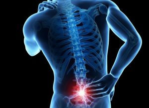 নিউরোসার্জনদের মতে, বিশ্ব মেরুদণ্ড দিবস ২০২৫-এ জেনে নিন ৬টি সাধারণ দৈনন্দিন অভ্যাস যা ধীরে ধীরে আপনার মেরুদণ্ডকে ক্ষতি করছে এবং কীভাবে তা ঠিক করবেন।