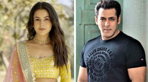 সলমন খানের পনভেল ফার্মহাউসে কী ঘটে, জানালেন শেহনাজ় গিল। অভিনেত্রীর অভিজ্ঞতায় উঠে এল ভাইজানের প্রকৃতিপ্রেম, সরল জীবন ও মানবিকতার গল্প।