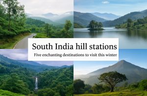 কর্ণাটকের কুর্গ জেলার হৃৎপিণ্ড হিসেবে পরিচিত মাদিকেড়ি (Madikeri) শীতকালে পর্যটকদের বিশেষ পছন্দের জায়গা। ‘ভারতের স্কটল্যান্ড’ নামে পরিচিত এই অঞ্চল কফি বাগান, এলাচের সুবাস আর সবুজ প্রকৃতির জন্য বিখ্যাত। শীতের হিমেল হাওয়ায় এখানে ভ্রমণ করলে মন আরও বেশী প্রফুল্ল হয়ে ওঠে। অ্যাবি ফলস (Abbey Falls) -এর গর্জন, রাজা’স সিট (Raja’s Seat)-এ মুগ্ধকর সূর্যাস্ত, ওমকারেশ্বর মন্দির এবং বাইলাকুপ্পের তিব্বতীয় গোল্ডেন টেম্পল এই অঞ্চলের প্রধান আকর্ষণ।