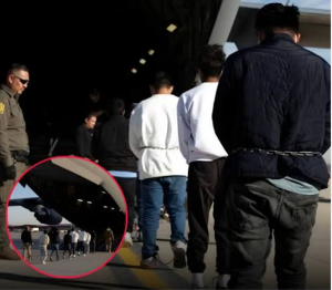 গত পাঁচ বছরে ভারতীয় নাগরিকদের ফেরত পাঠানোর তালিকায় আমেরিকা নয়, শীর্ষে সৌদি আরব। বিদেশ মন্ত্রকের পরিসংখ্যানে প্রকাশ চমকপ্রদ তথ্য। জানুন বিস্তারিত।