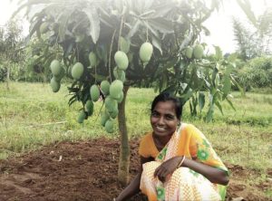 Birsa Harit Gram Yojana Jharkhand