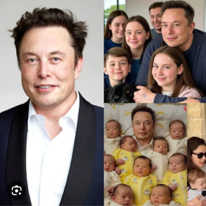প্রযুক্তি উদ্যোক্তা ইলন মাস্কের ১৪ সন্তানের পরিবার, তাঁদের মায়েরা ও বিতর্কিত ব্যক্তিগত জীবনের বিস্তারিত জানুন এই প্রতিবেদনে। A detailed look at Elon Musk’s 14 children, their mothers, and the tech billionaire’s unusual family life and pronatalist beliefs.