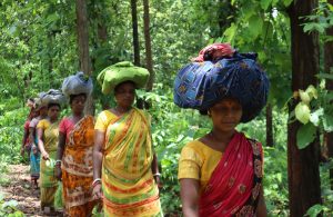 ওড়িশায় পিএম জনমন প্রকল্পের মাধ্যমে জনজাতি পরিবারগুলির কাছে পৌঁছচ্ছে আবাস, জল, বিদ্যুৎ ও স্বাস্থ্য পরিষেবা। লোকসভায় জানালেন কেন্দ্রীয় মন্ত্রী।