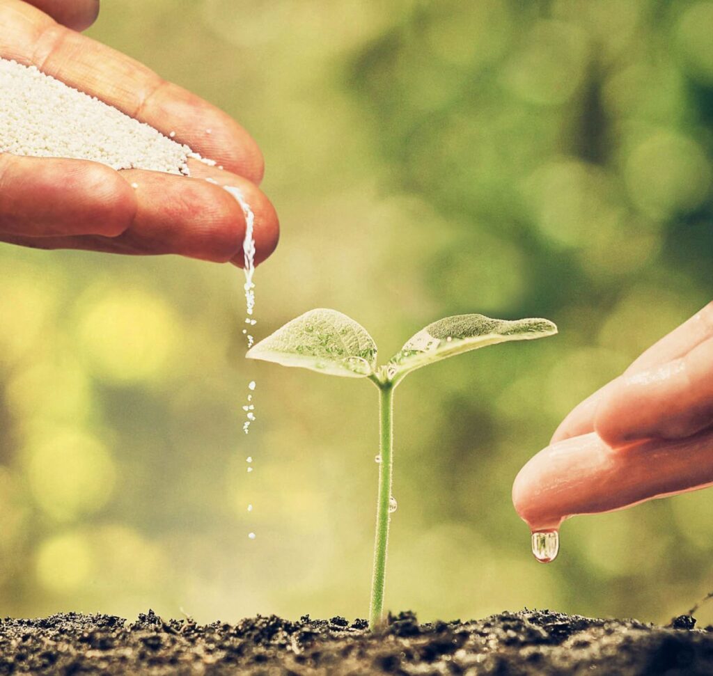 মাইক্রো-সার (Micro fertilizer export), বিশেষায়িত সার এবং উদ্ভিদের পুষ্টি উপকরণ তৈরির ক্ষেত্রে দেশে ব্যবসা পরিচালনার নিয়ম আরও সহজ করার দাবি উঠল। একই সঙ্গে রপ্তানির অনুমোদন দ্রুত করা, রাজ্যভিত্তিক লাইসেন্স ব্যবস্থার জট কমানো এবং সার নিয়ন্ত্রণ আদেশ বা FCO-র আওতাধীন পণ্যে এক ধরনের GST কাঠামো চালুর প্রস্তাবও সামনে এসেছে।