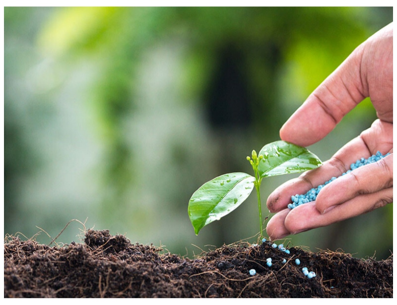 মাইক্রো-সার (Micro fertilizer export), বিশেষায়িত সার এবং উদ্ভিদের পুষ্টি উপকরণ তৈরির ক্ষেত্রে দেশে ব্যবসা পরিচালনার নিয়ম আরও সহজ করার দাবি উঠল। একই সঙ্গে রপ্তানির অনুমোদন দ্রুত করা, রাজ্যভিত্তিক লাইসেন্স ব্যবস্থার জট কমানো এবং সার নিয়ন্ত্রণ আদেশ বা FCO-র আওতাধীন পণ্যে এক ধরনের GST কাঠামো চালুর প্রস্তাবও সামনে এসেছে।