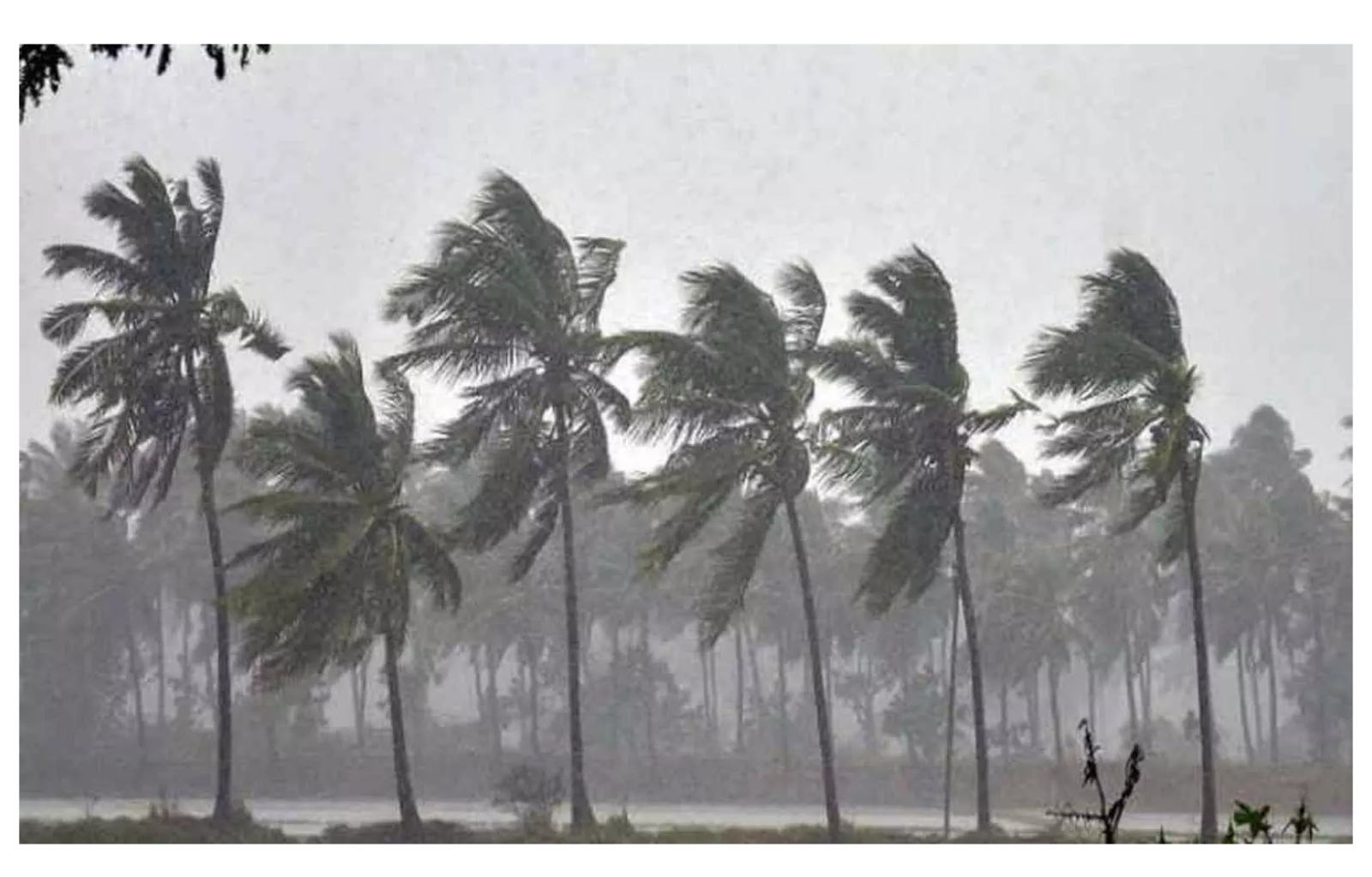 বঙ্গোপসাগরের উপর তৈরি হওয়া গভীর নিম্নচাপ শেষ পর্যন্ত স্থলভাগে ঢুকে পড়েছে। বুধবার গভীর রাতে অন্ধ্রপ্রদেশের (Andhra Pradesh) উত্তর উপকূলের কলিঙ্গপটনমের (Kalingapatnam) কাছ দিয়ে স্থলভাগে প্রবেশ করেছে এই শক্তিশালী আবহাওয়া ব্যবস্থা। রাত ১১টা থেকে বৃহস্পতিবার রাত ১টার মধ্যে ল্যান্ডফল সম্পন্ন হয় বলে জানিয়েছে ভারতীয় আবহাওয়া দফতর (India Meteorological Department বা IMD)। স্থলভাগে ঢোকার সময় সর্বোচ্চ দমকা হাওয়ার গতি ঘণ্টায় প্রায় ৭৫ কিলোমিটার পর্যন্ত উঠেছিল।