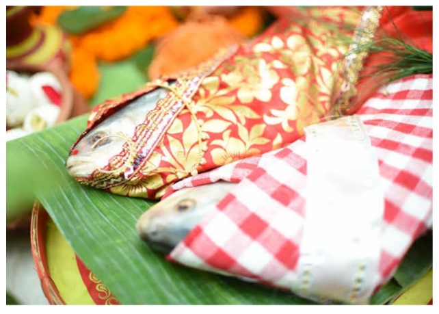 কোজাগরী লক্ষ্মীপুজোর ভোগের জন্য তেল-মশলা ছাড়া তৈরি বাঙালির ঐতিহ্যবাহী জোড়া ইলিশের পাতলা ঝোল
