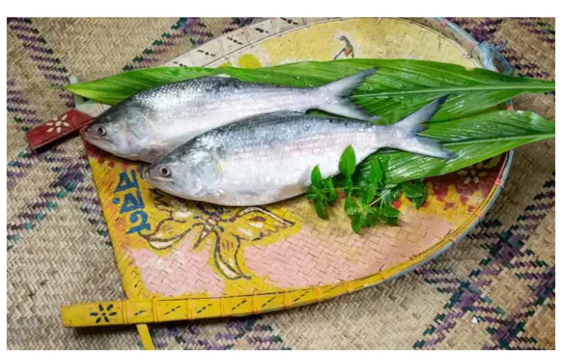 কোজাগরী লক্ষ্মীপুজোর ভোগের জন্য তেল-মশলা ছাড়া তৈরি বাঙালির ঐতিহ্যবাহী জোড়া ইলিশের পাতলা ঝোল